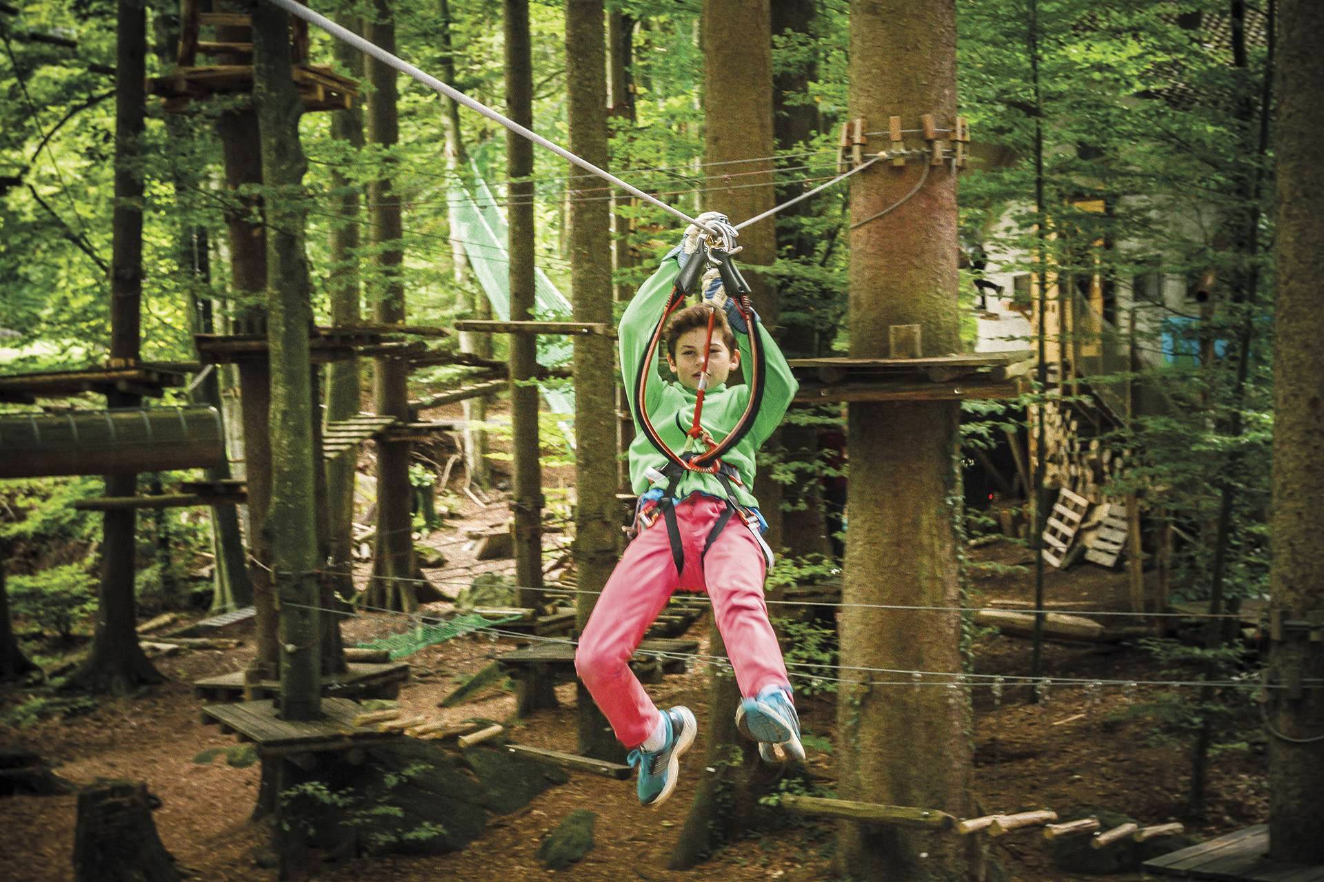 Interlaken Seilpark