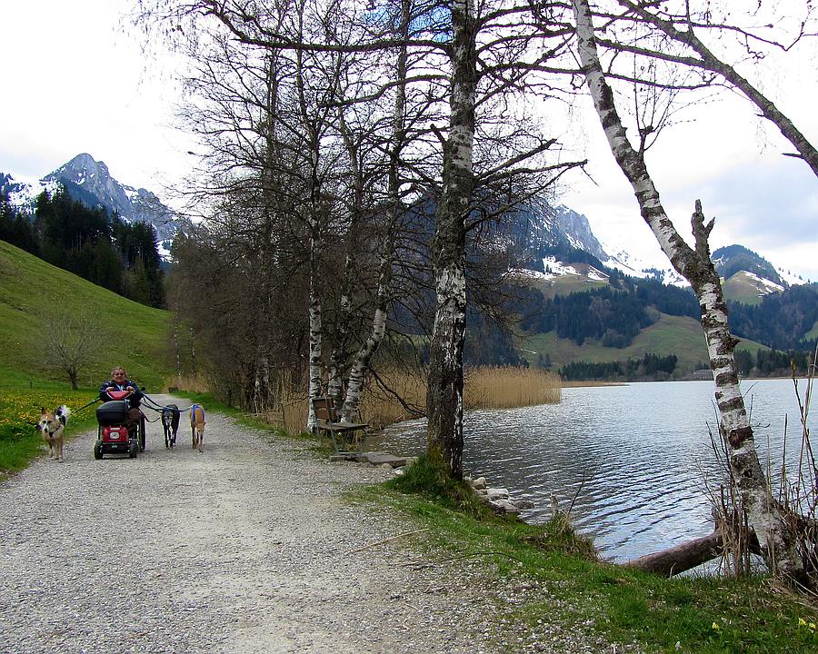Rollstuhl Schwarzsee Seeblick Letztes Wegstück