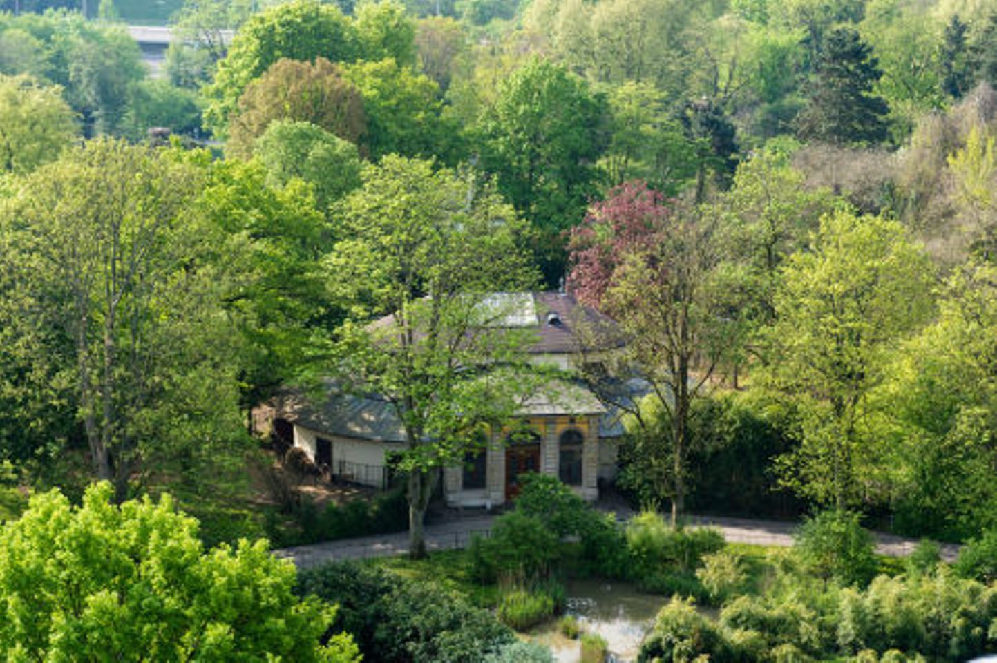 Basel Zoo Antilopenhaus