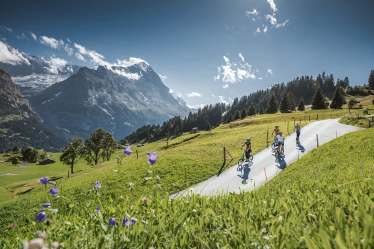 Grindelwald First Trotti Bike
