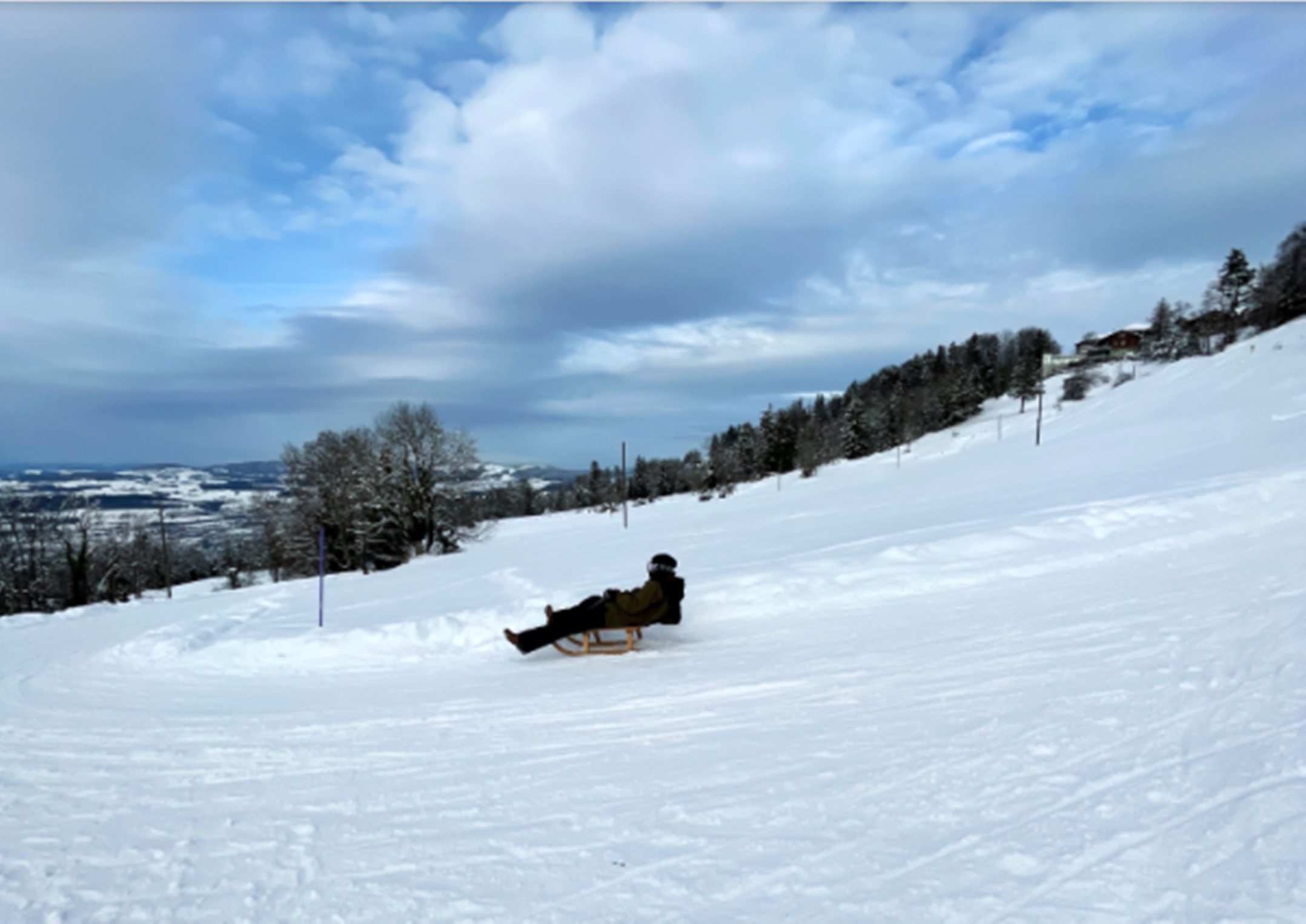 Zugerberg Schlittelbahn