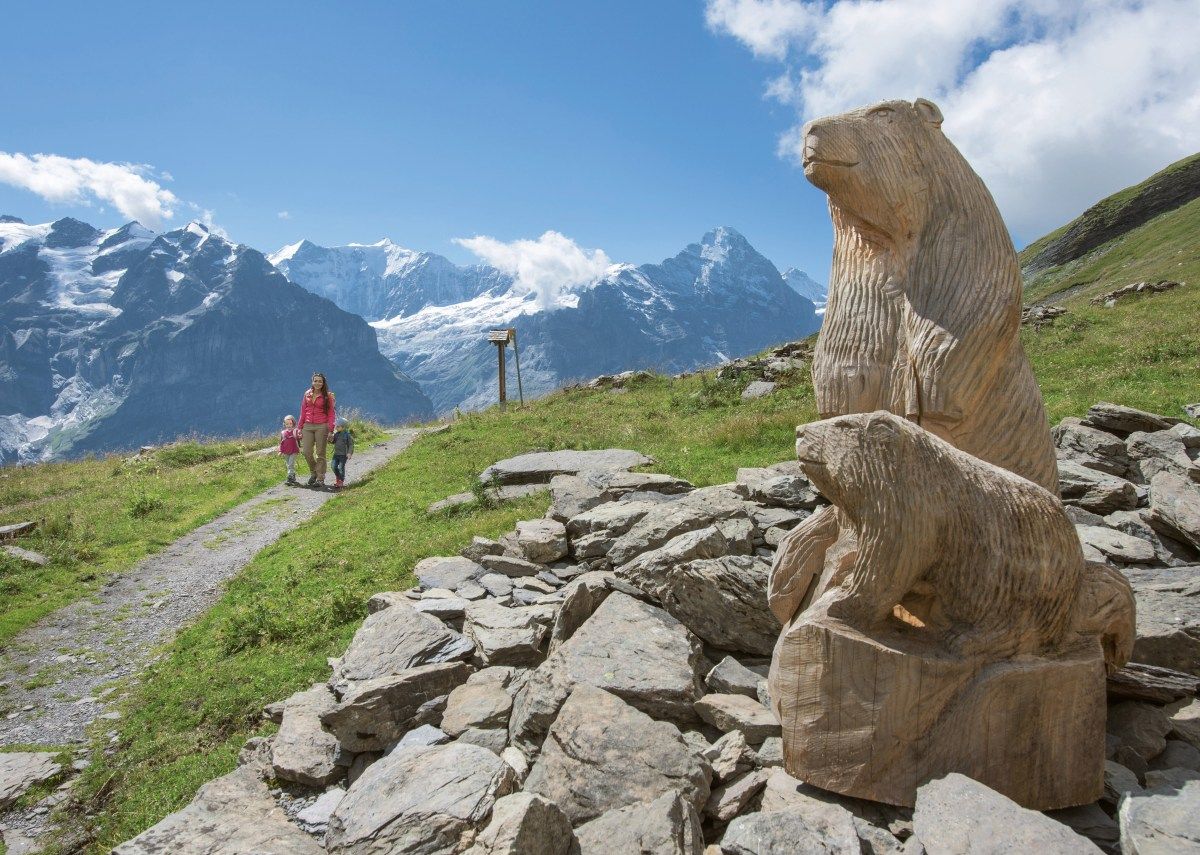 Grindelwald First Murmeltier Lehrpfad
