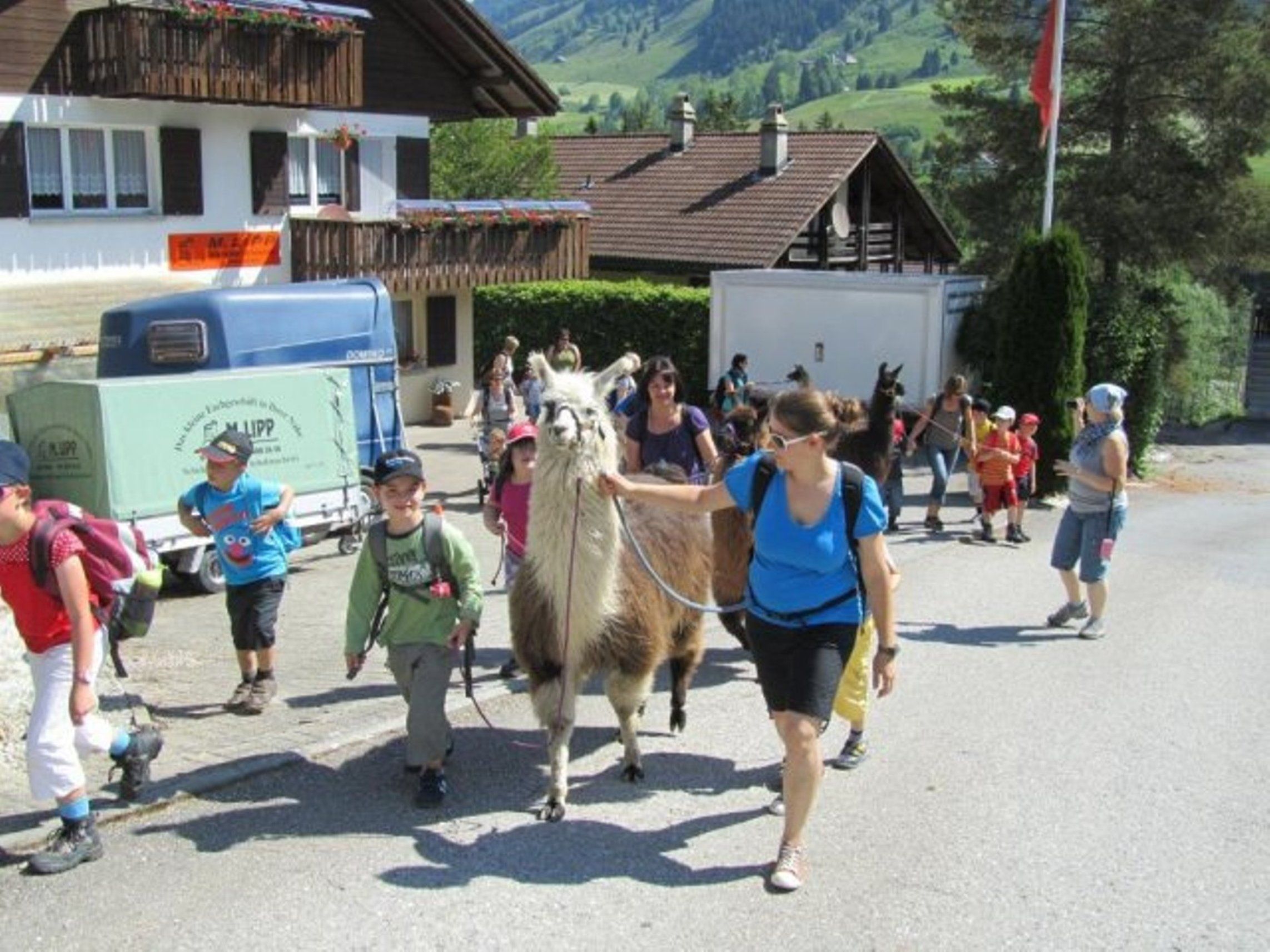 Lama und Alpaka Trekking Flühli
