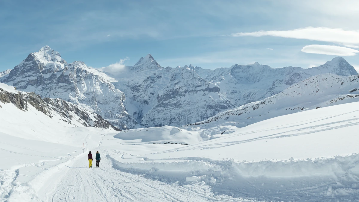 Grindelwald First Winterwandern Schreckhorn