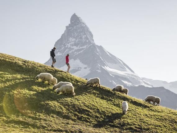 Zermatt Wandern