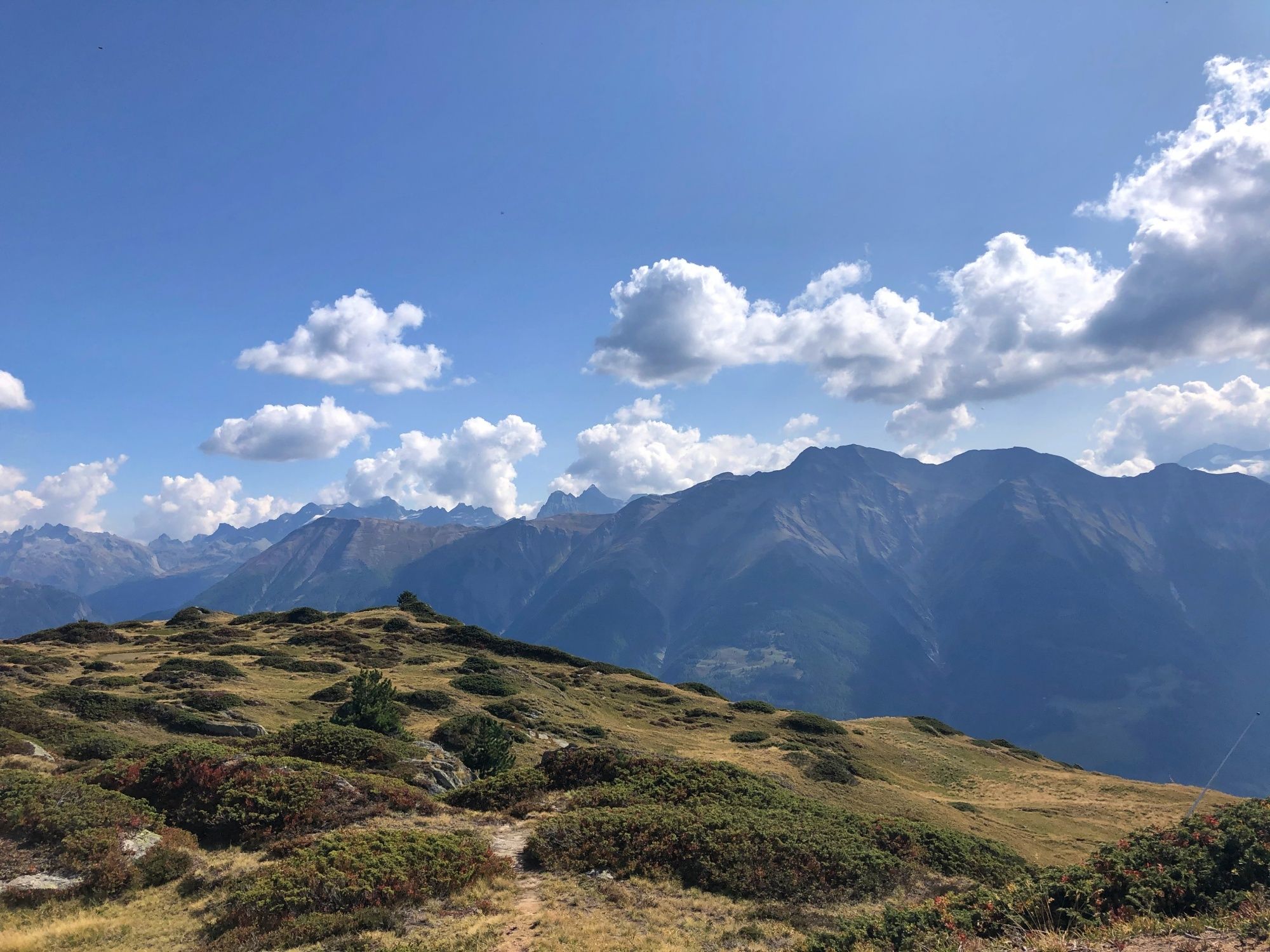 Wandern Aletschwald