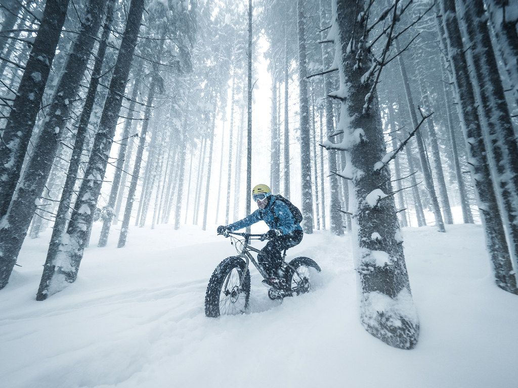 Davos Fatbike Schnee Wald