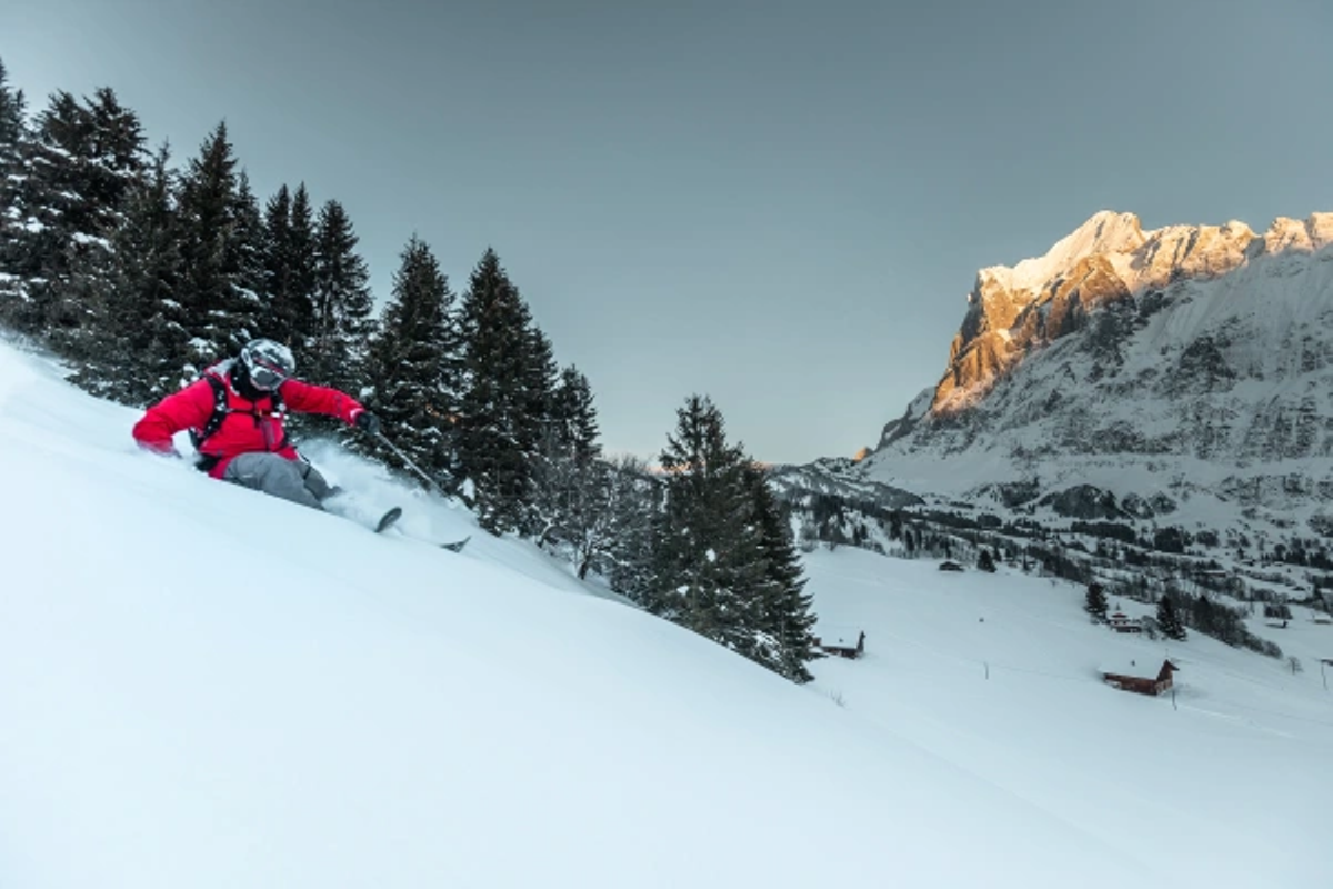 Grindelwald First Freeski