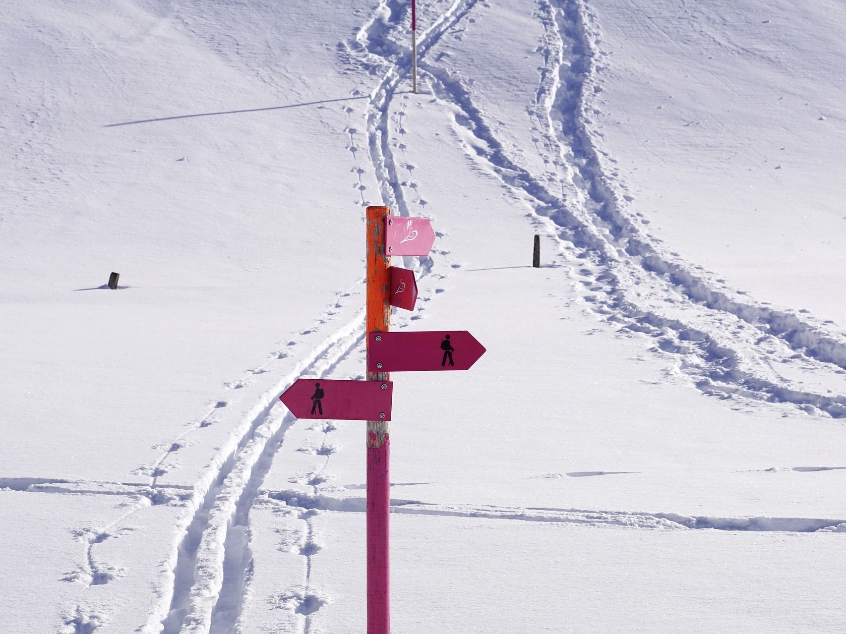 Schneeschuhwandern Schweiz Wanderwege Schneeschuhe