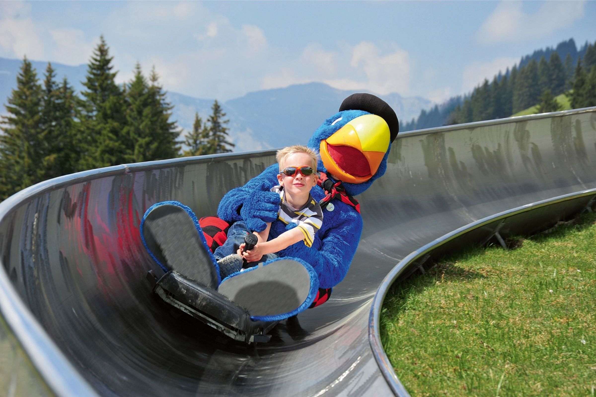 Brunni Engelberg Sommer Rodeln