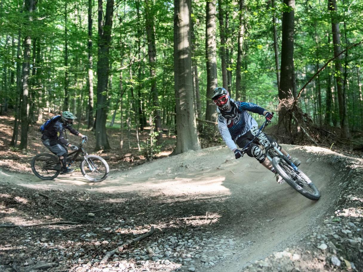 Zürich Uetliberg Trails