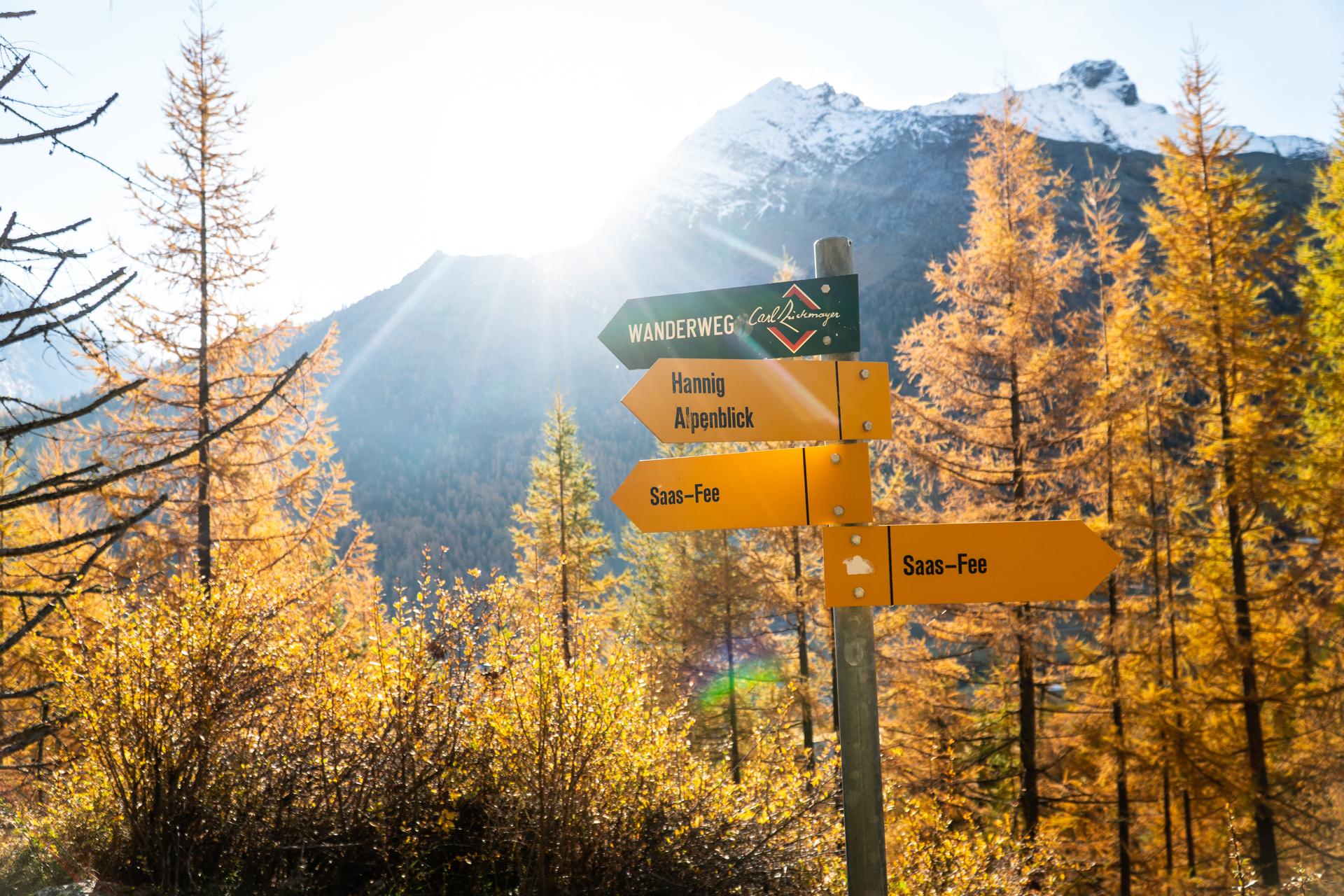 Saas-Fee Wandern Herbst Hannig 