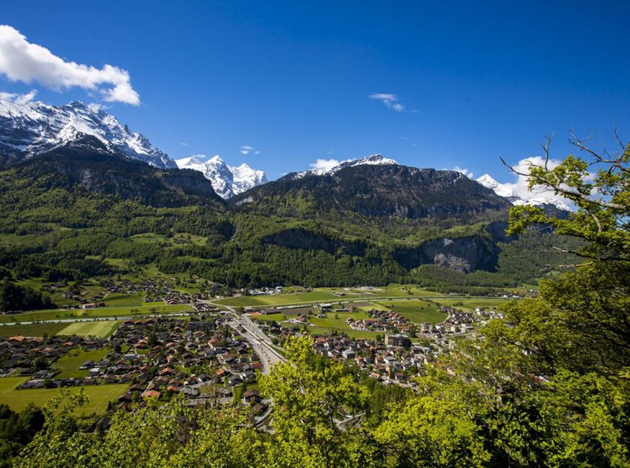 Meiringen und Hasliberg Plattform Alpbachschlucht