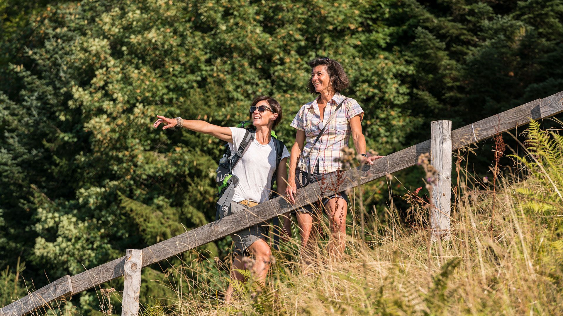 Rigi Wandern