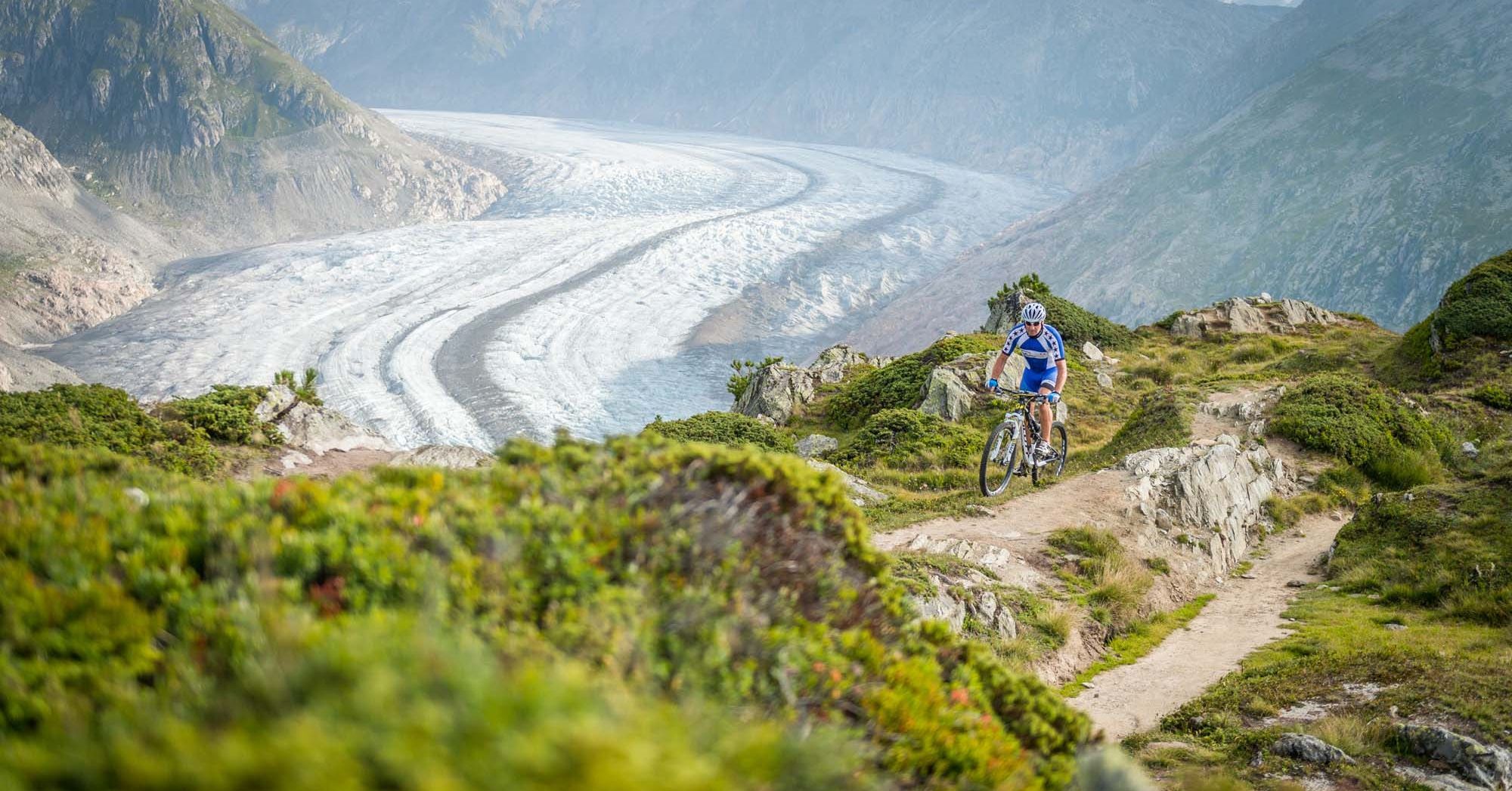 Aletsch Arena Stoneman Glaciara