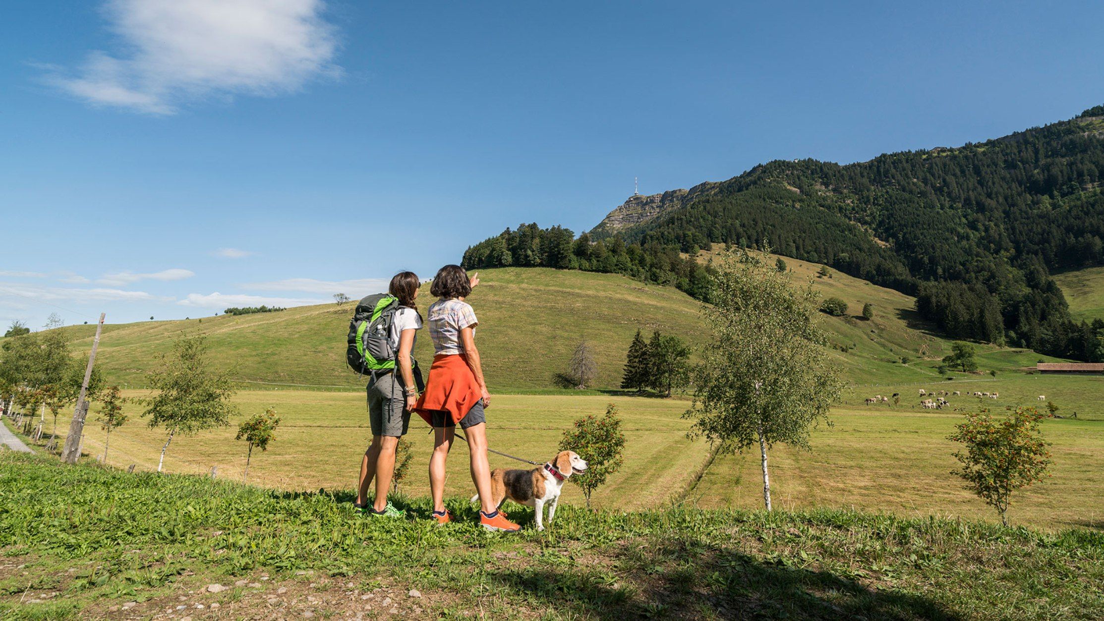 Rigi Wandern Seebodenalp Blick auf Kulm