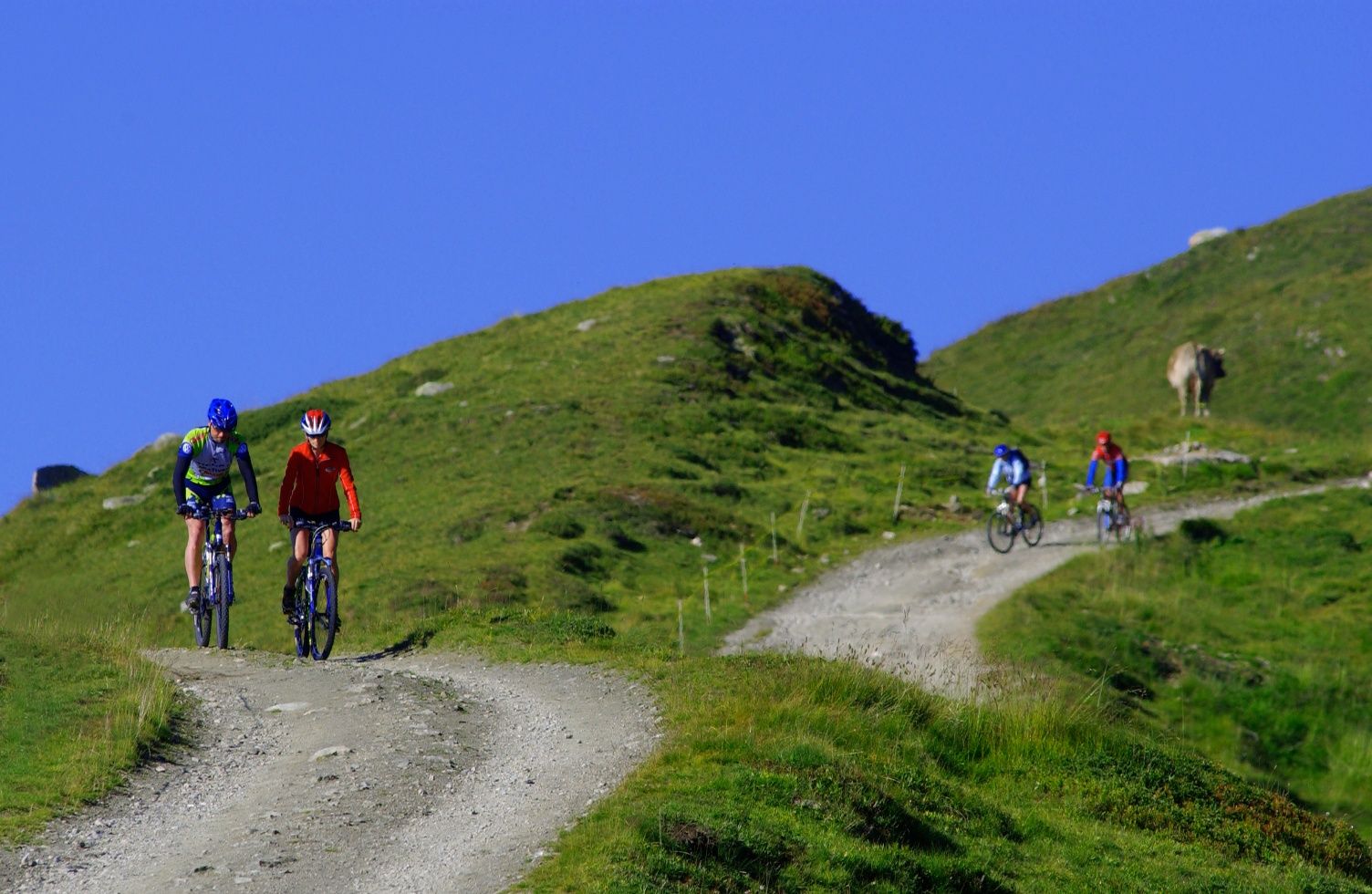 Aletsch Arena Mountainbiking