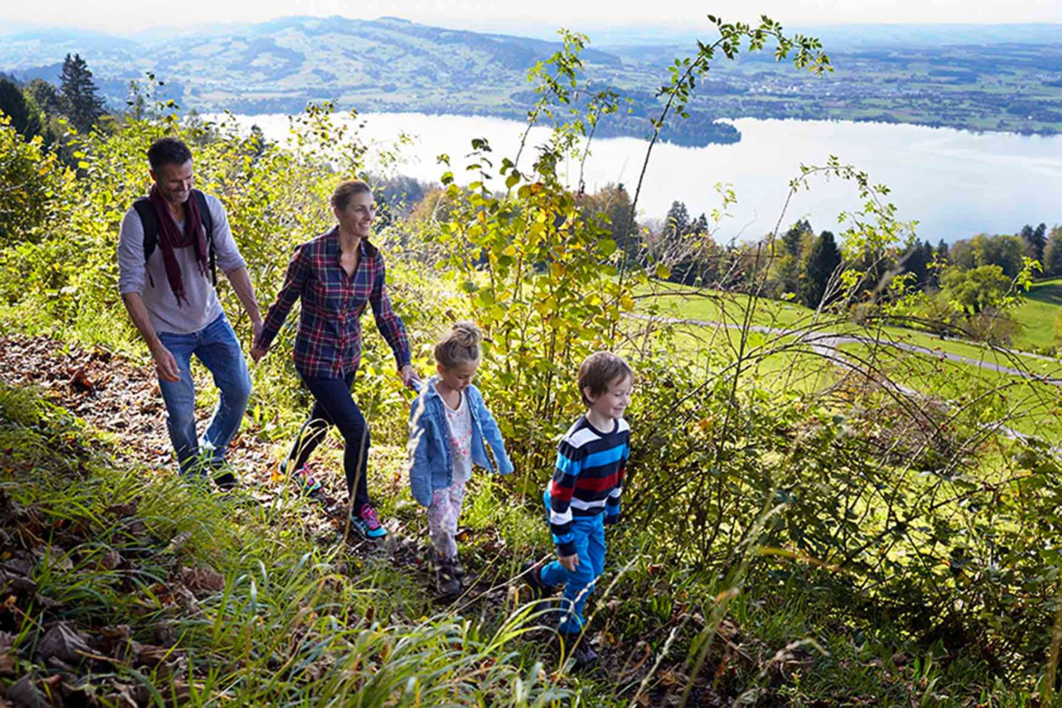 Wandern Schweiz Zugerberg