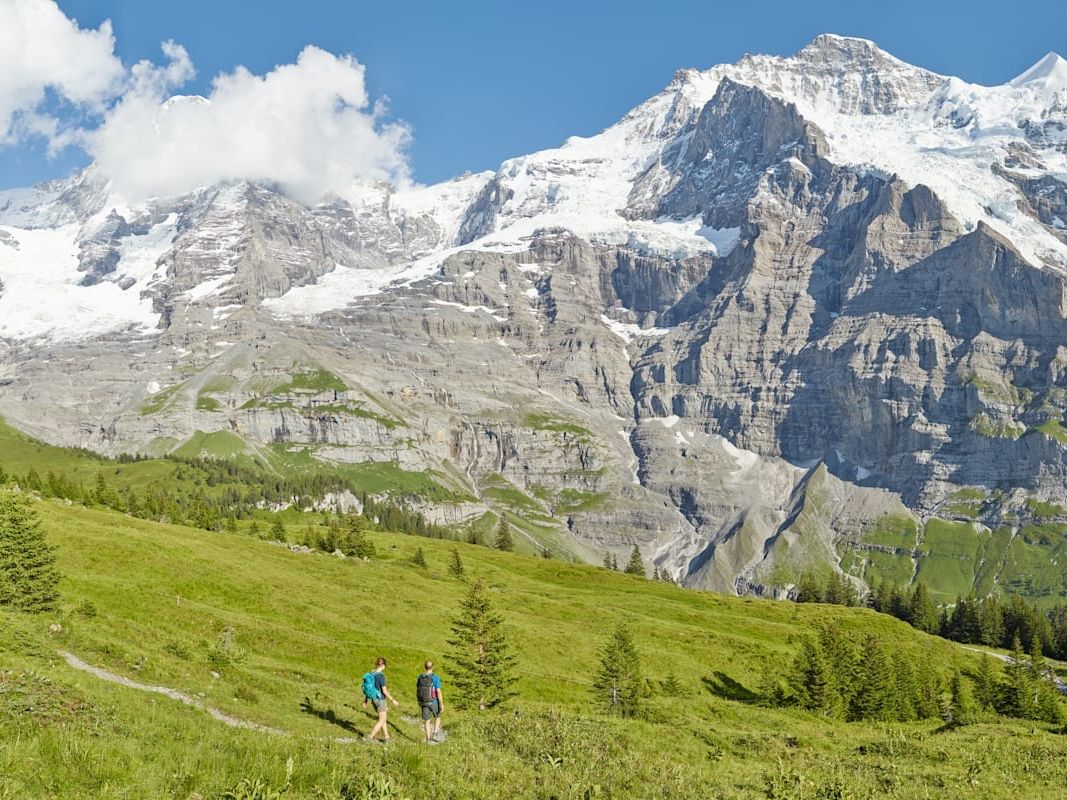 Wengen Jungfrau Region Kleine Scheidegg