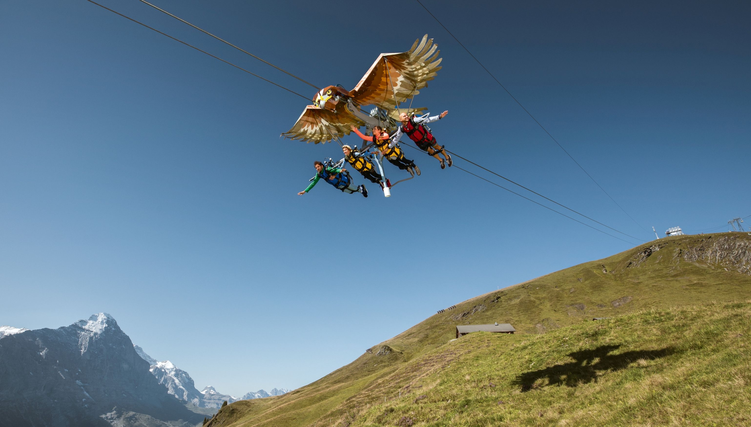 Grindelwald First Glider Grindelwald First