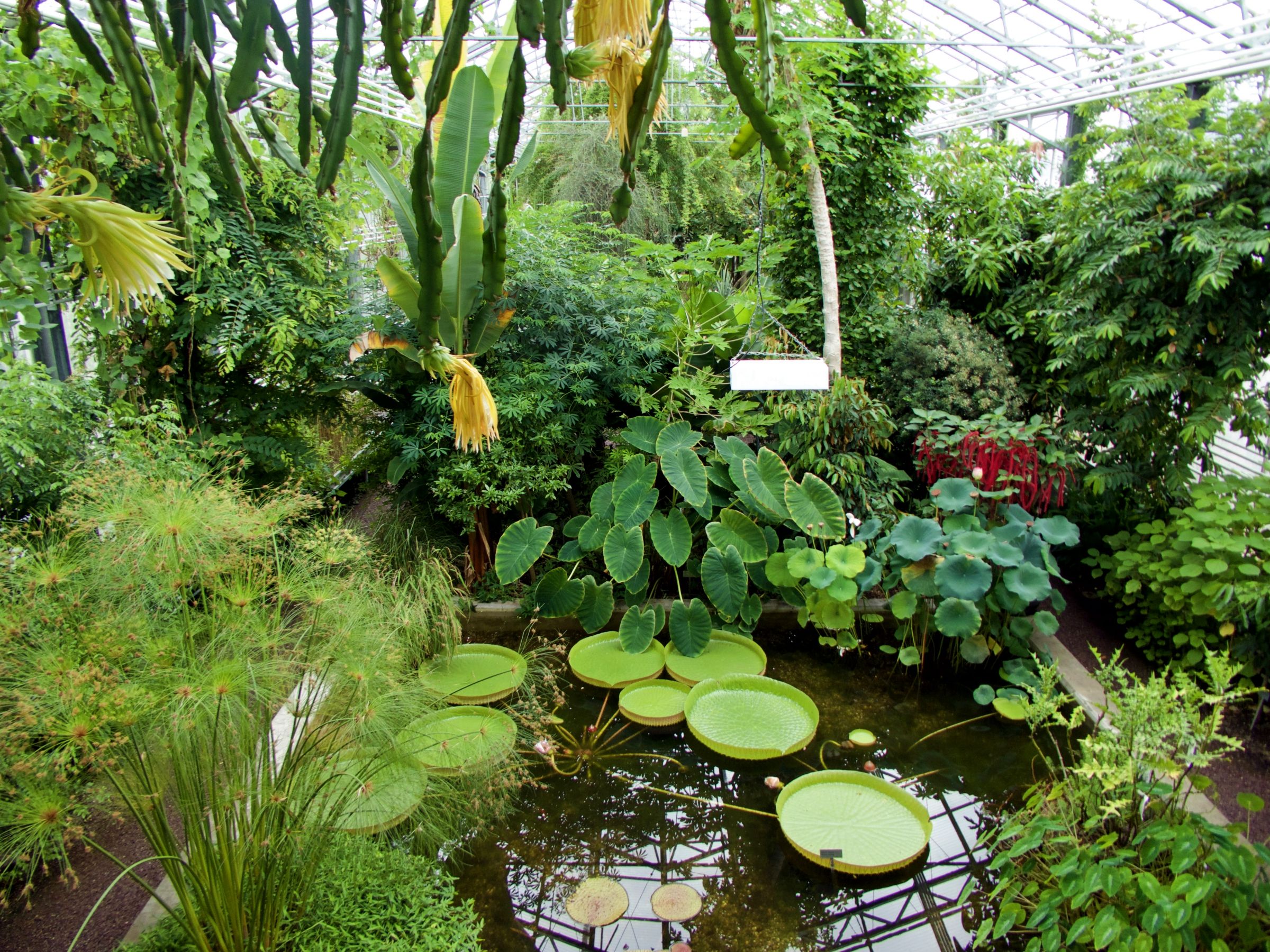 Botanischer Garten
