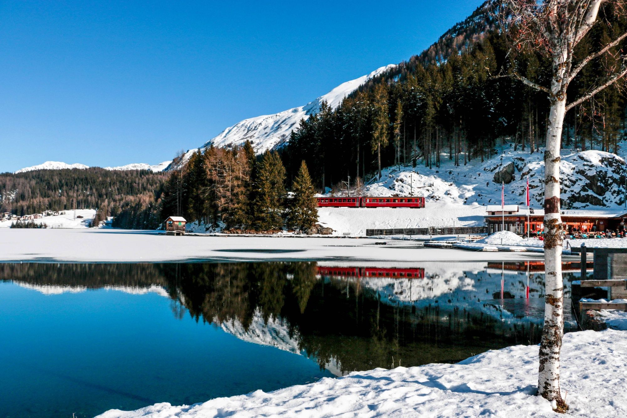 Panoramazüge Chur Davos