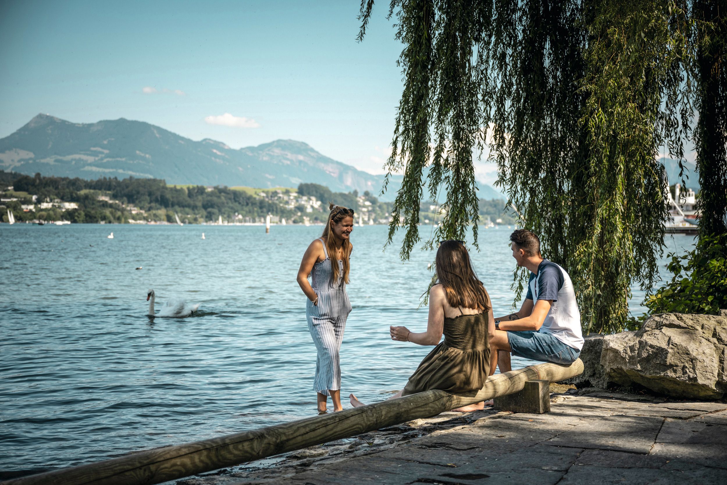Vierwaldstättersee Luzern Inseli