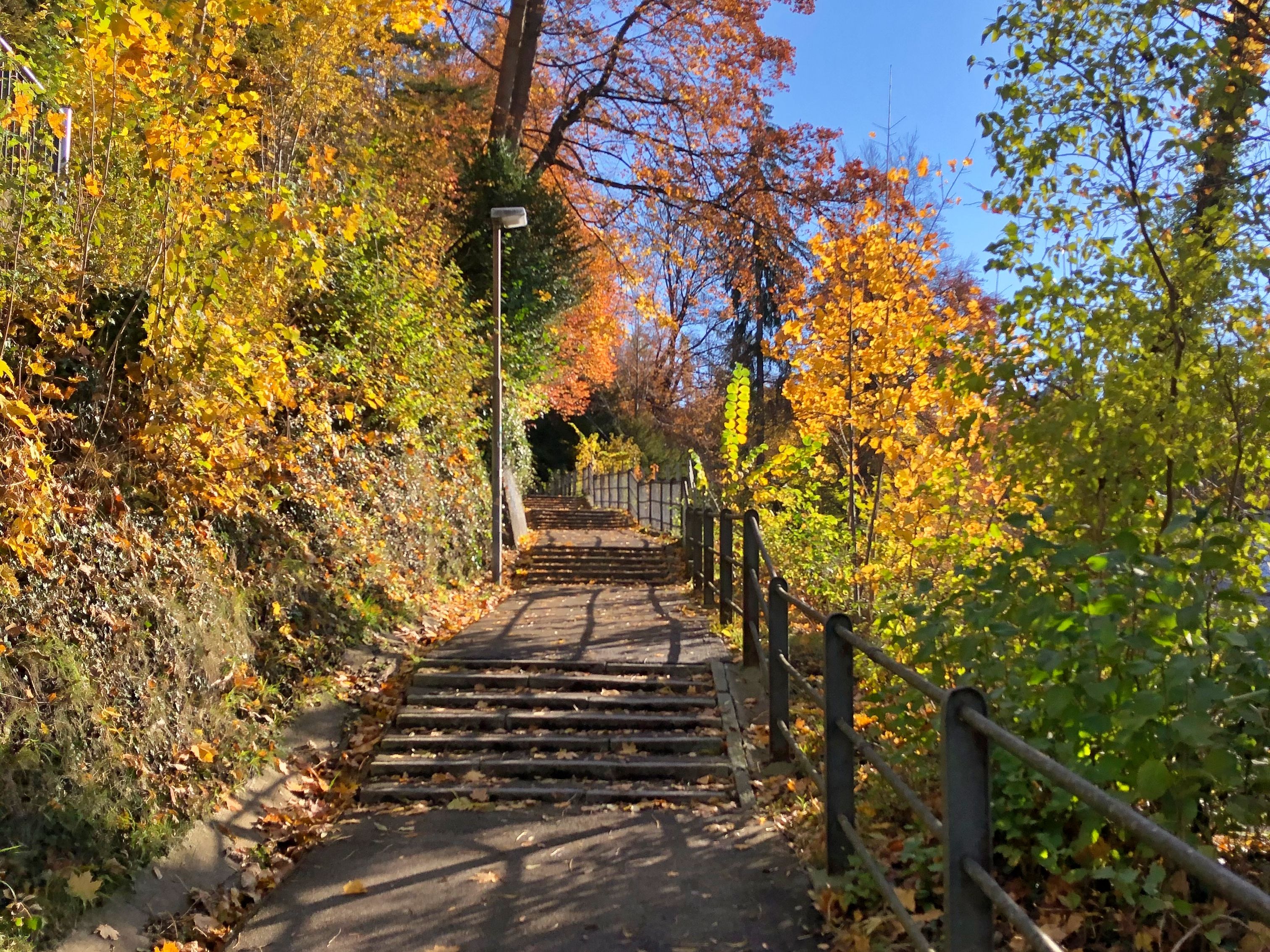 Mühlenenschlucht