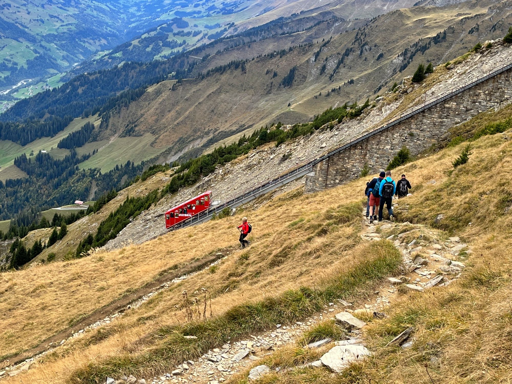 Niesen