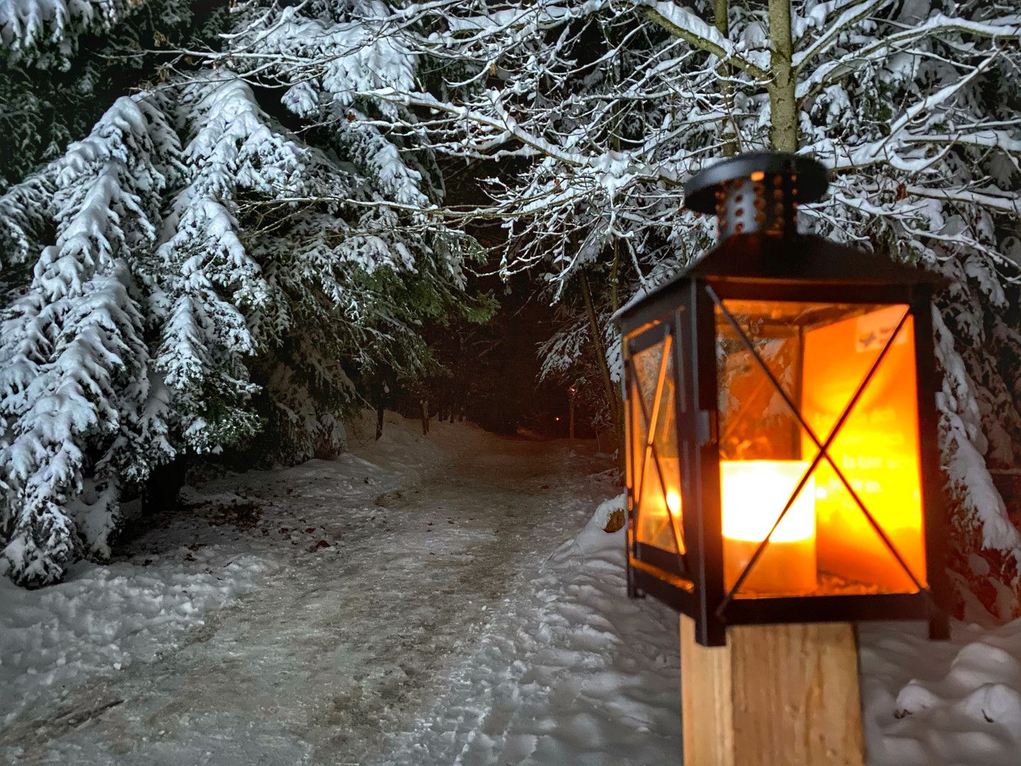 Zugerberg Lichterweg