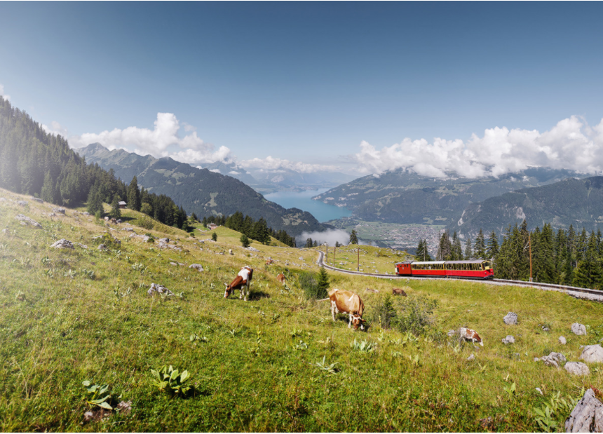 Schynige Platte Wandern