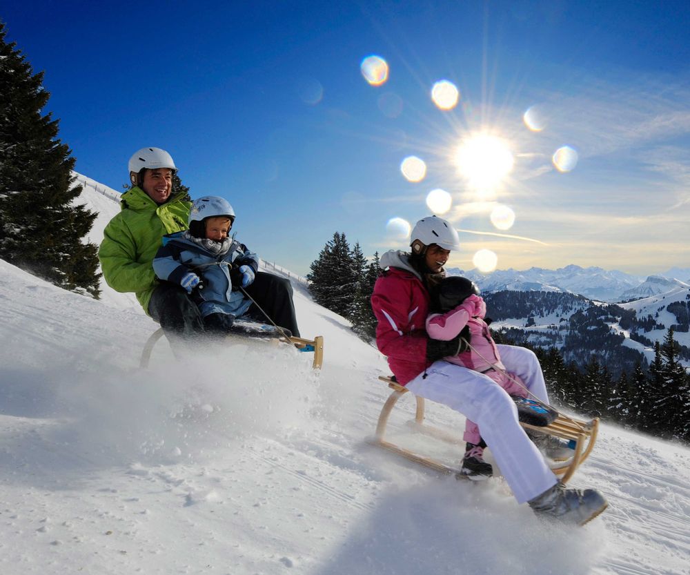 Sledding Rigi day ticket incl. train ticket | Swiss Activities