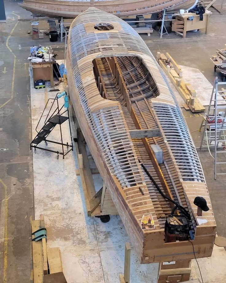 brittisk spjutspets återföds