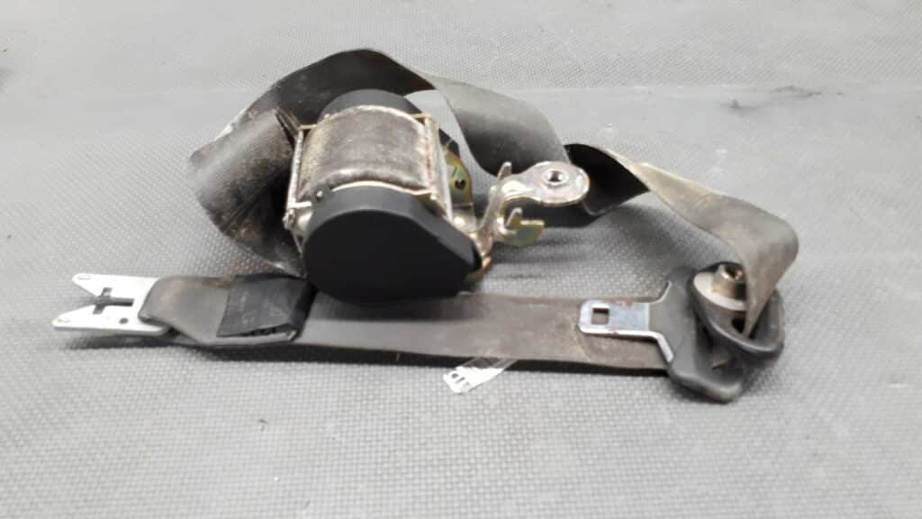 8200309209 Pas prawy RENAULT SCENIC II 04R G