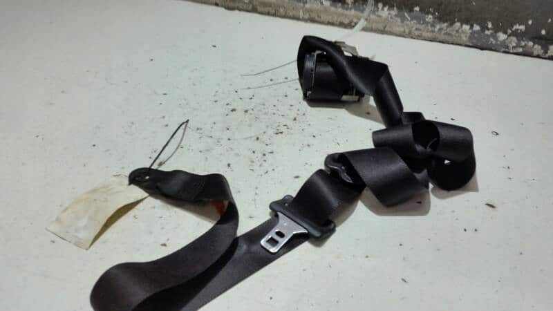3M51R61294AG PAS PRAWY PRZOD FOCUS C-MAX