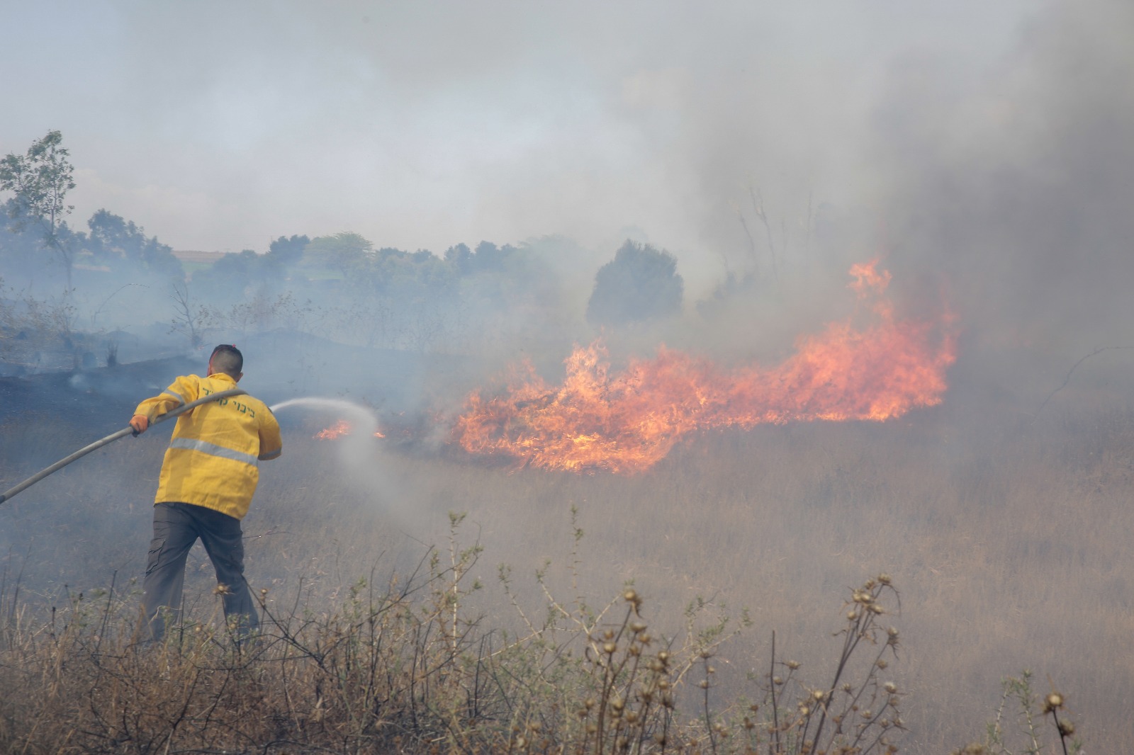 מנהל אזור נגב מערבי בקק"ל: "הסוף לשריפות היער  והשטחים החקלאיים בעוטף עזה עוד רחוק"