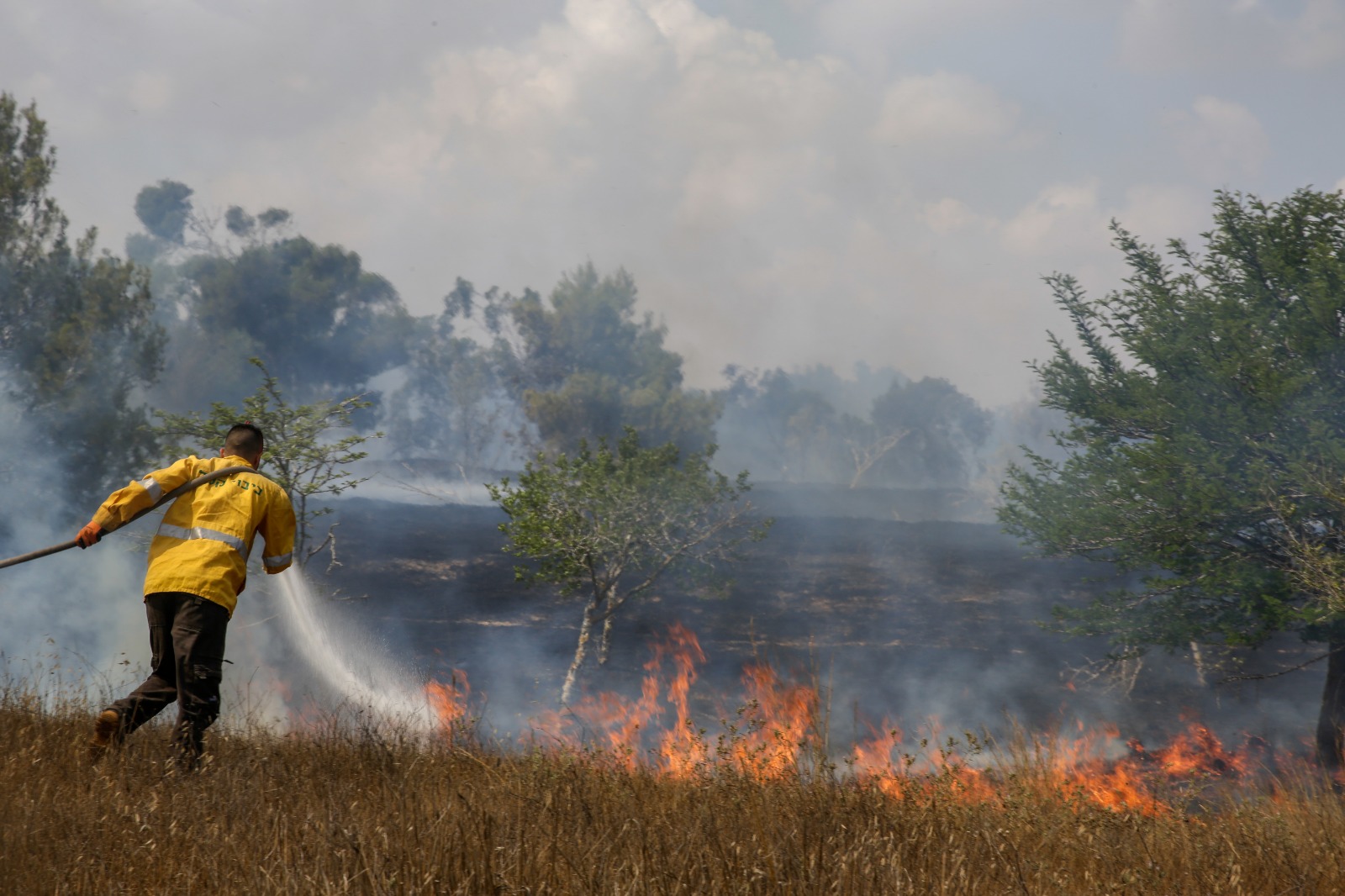 חצי שנה לטרור העפיפונים וכמחצית משטחי יערות בארי וכיסופים – נשרפו