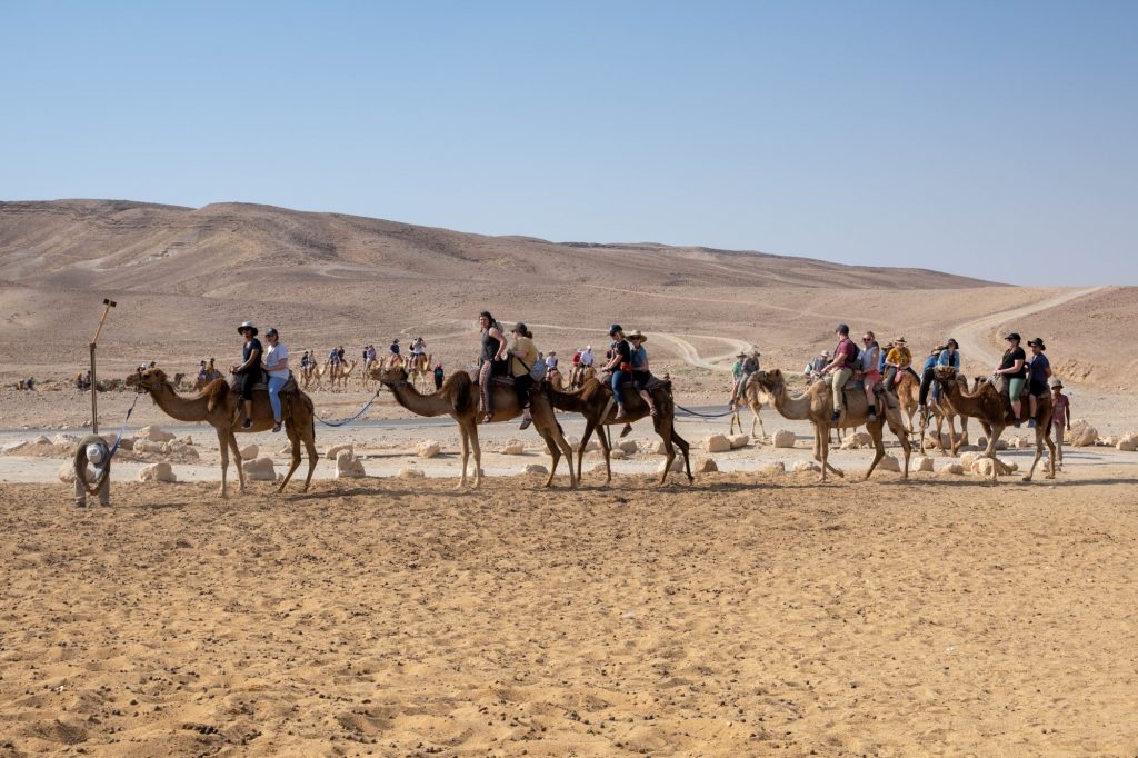 הגיעו לערד משלחות מ 12 מדינות המשתתפות באירוויזיון  לטעימה מהמדבר הישראלי.