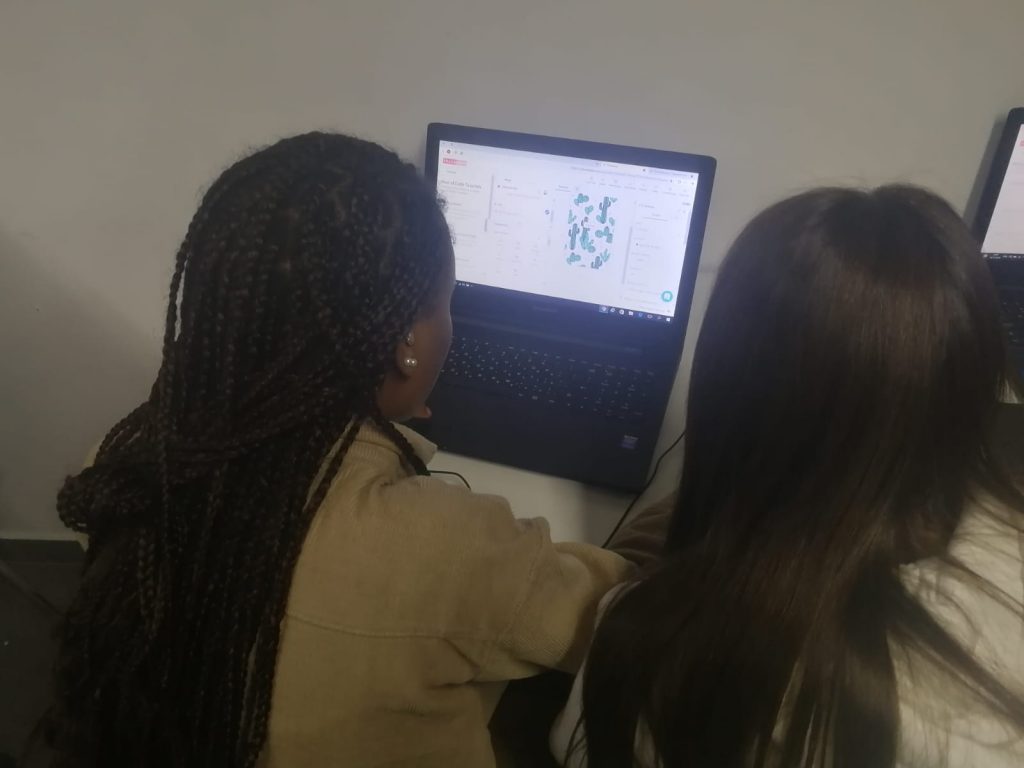 יזמיות צעירות