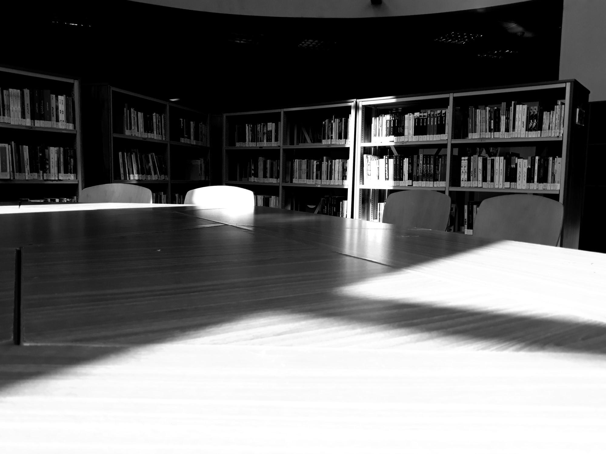 "זהות עכשווית בחברה הבדואית"