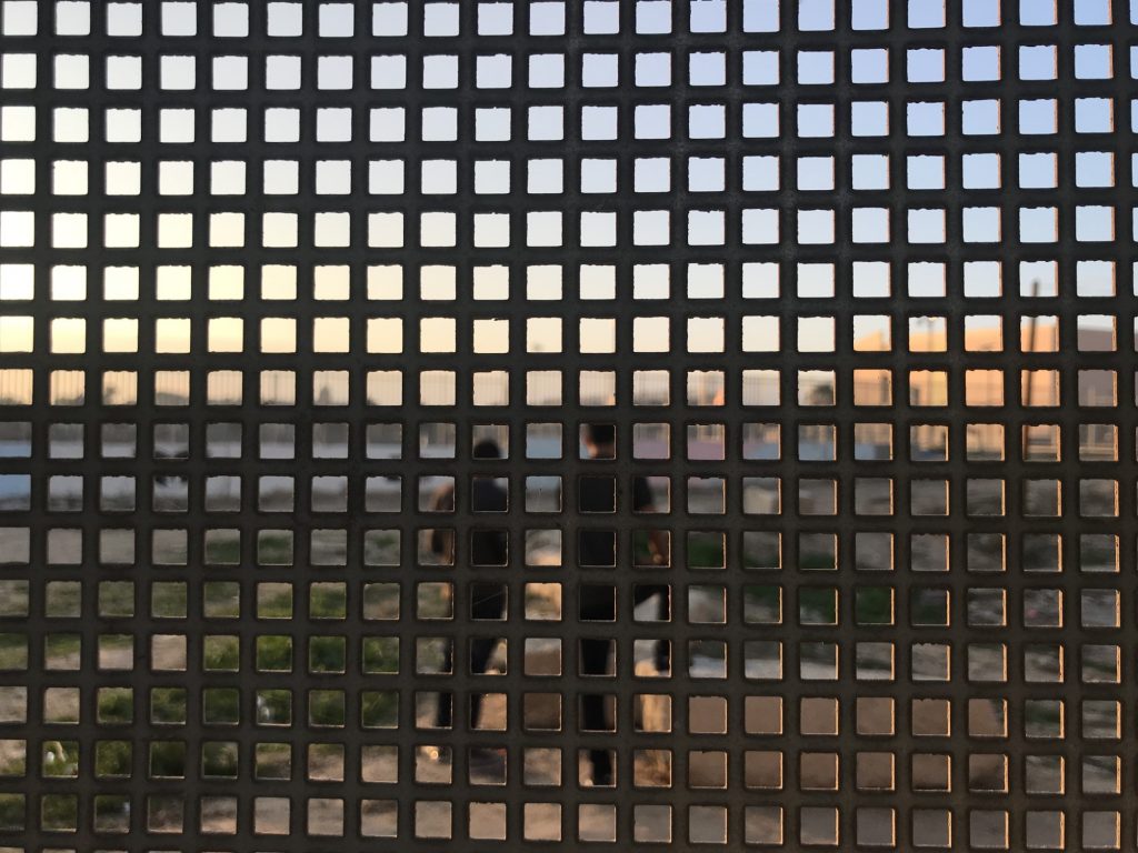 תערוכה חדשה של בני נוער מהעיר רהט 