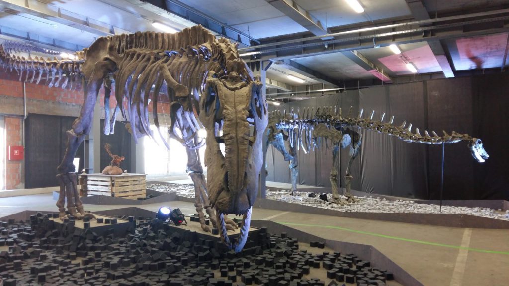 תערוכה חדשה! דינוזאורים – ענקי הפטגוניה