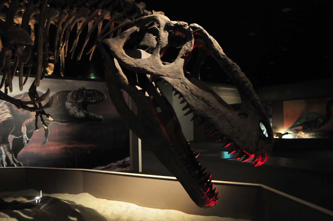 "דינוזאורים – ענקי הפטגוניה"