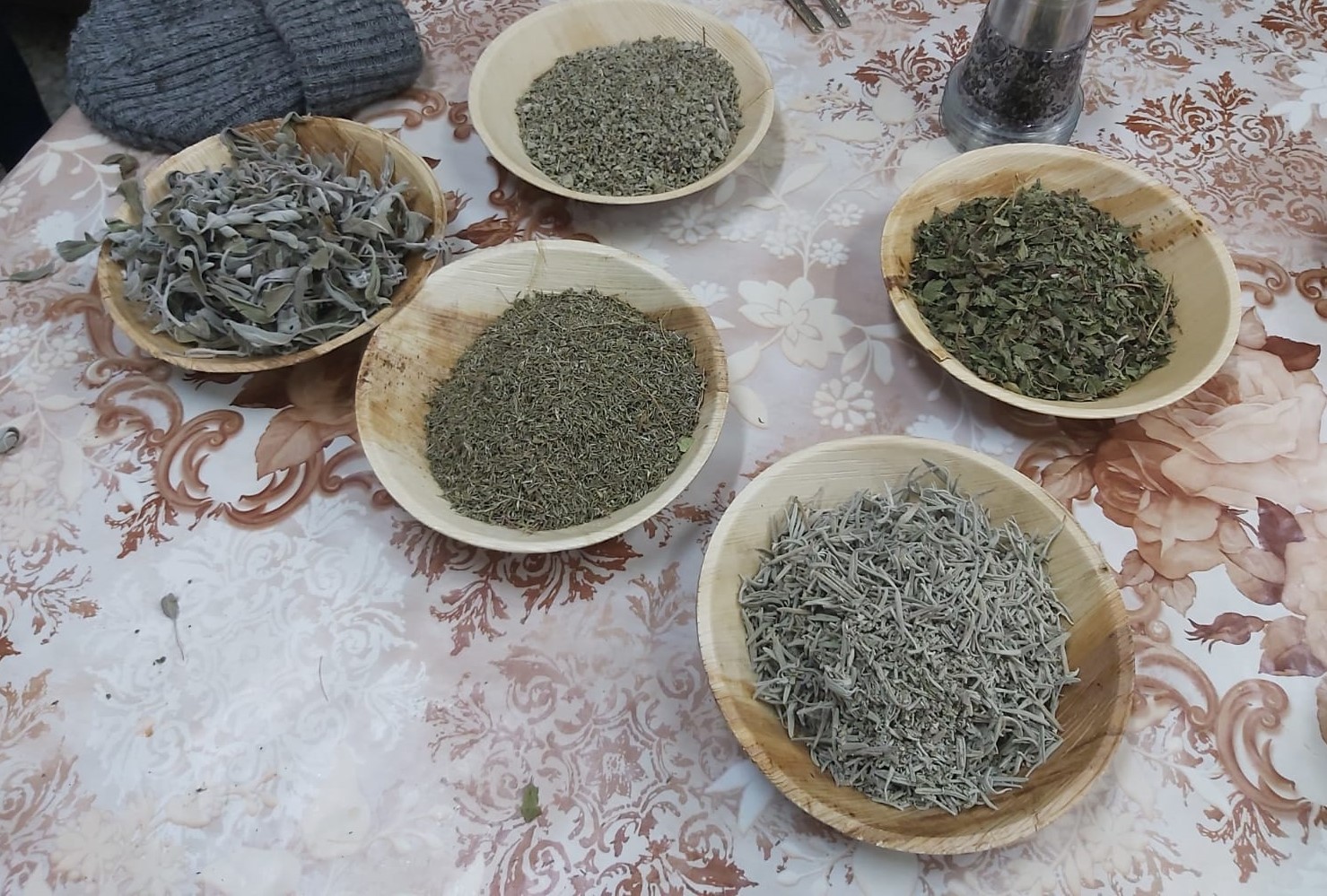 תושבי שכונה ד' בעיר באר שבע השתתפו בסיור מקצועי להכרת הצמחייה בשכונה