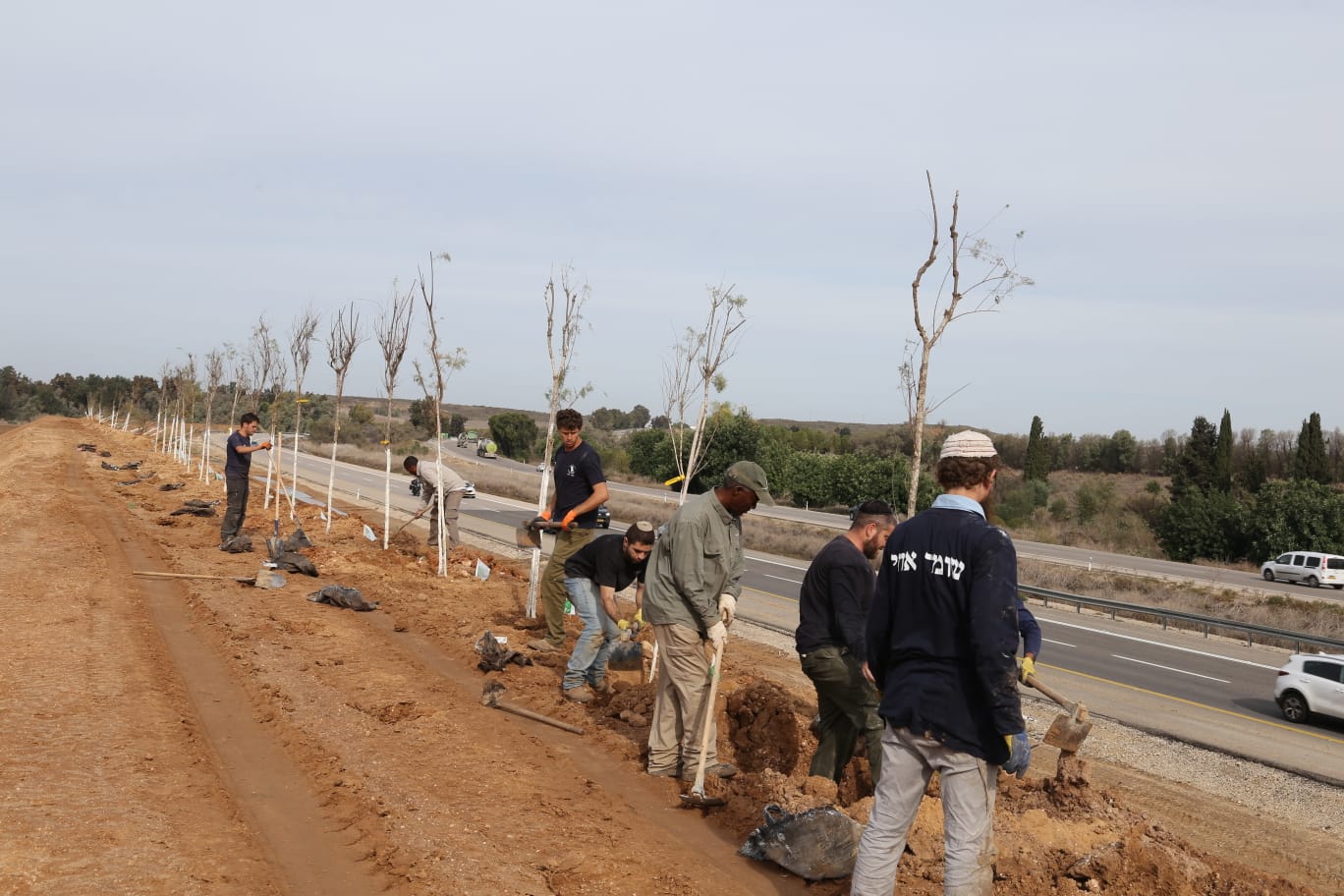 פרויקט "הקלק וטע" של קק״ל ימשיך עד סוף חודש שבט: 65 אלף עצים כבר ניטעו באזור עוטף עזה
