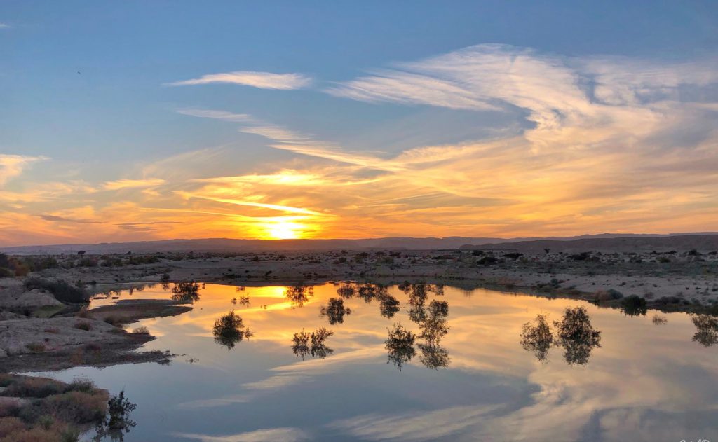 תיירות 'התו סגול'