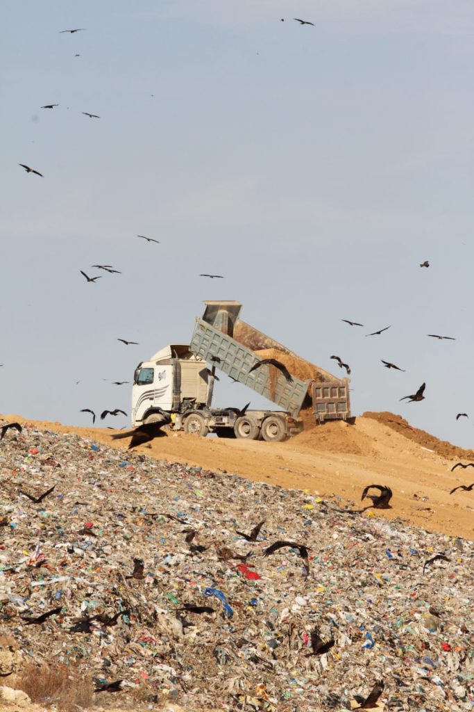 : המחקר שיפצח את השאלה למה הדיות נמשכות לפסולת