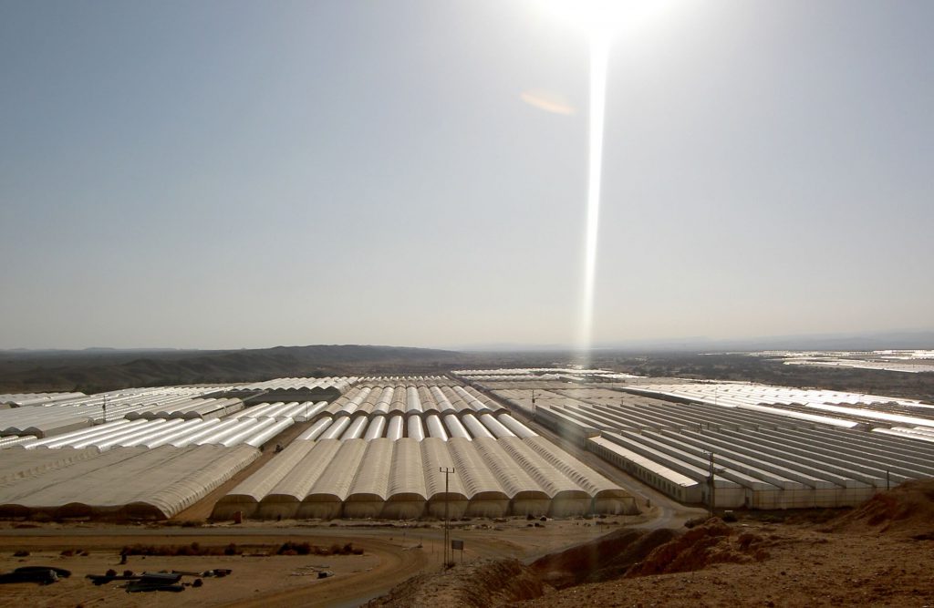 חקלאי הערבה התיכונה: הפסדי עתק עקב ביטול ללא התרעה, של חברת החשמל להקמת פרויקטים סולאריים