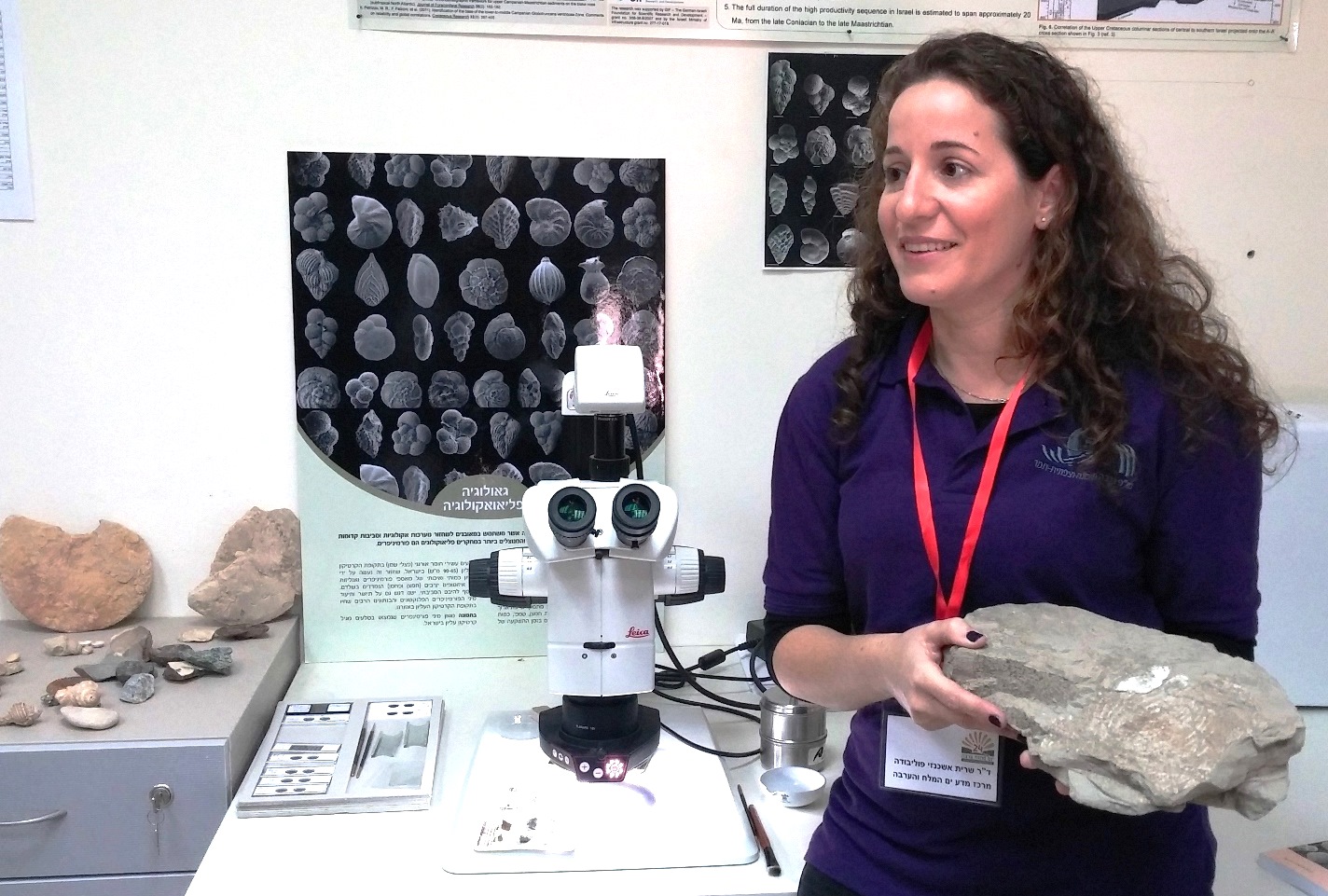 זוחל ימי ענק פרהיסטורי- התגלה בערבה לפני כעשור עכשיו גילו את "אחיו"  בן 100 אלף שנה- באוסטרליה