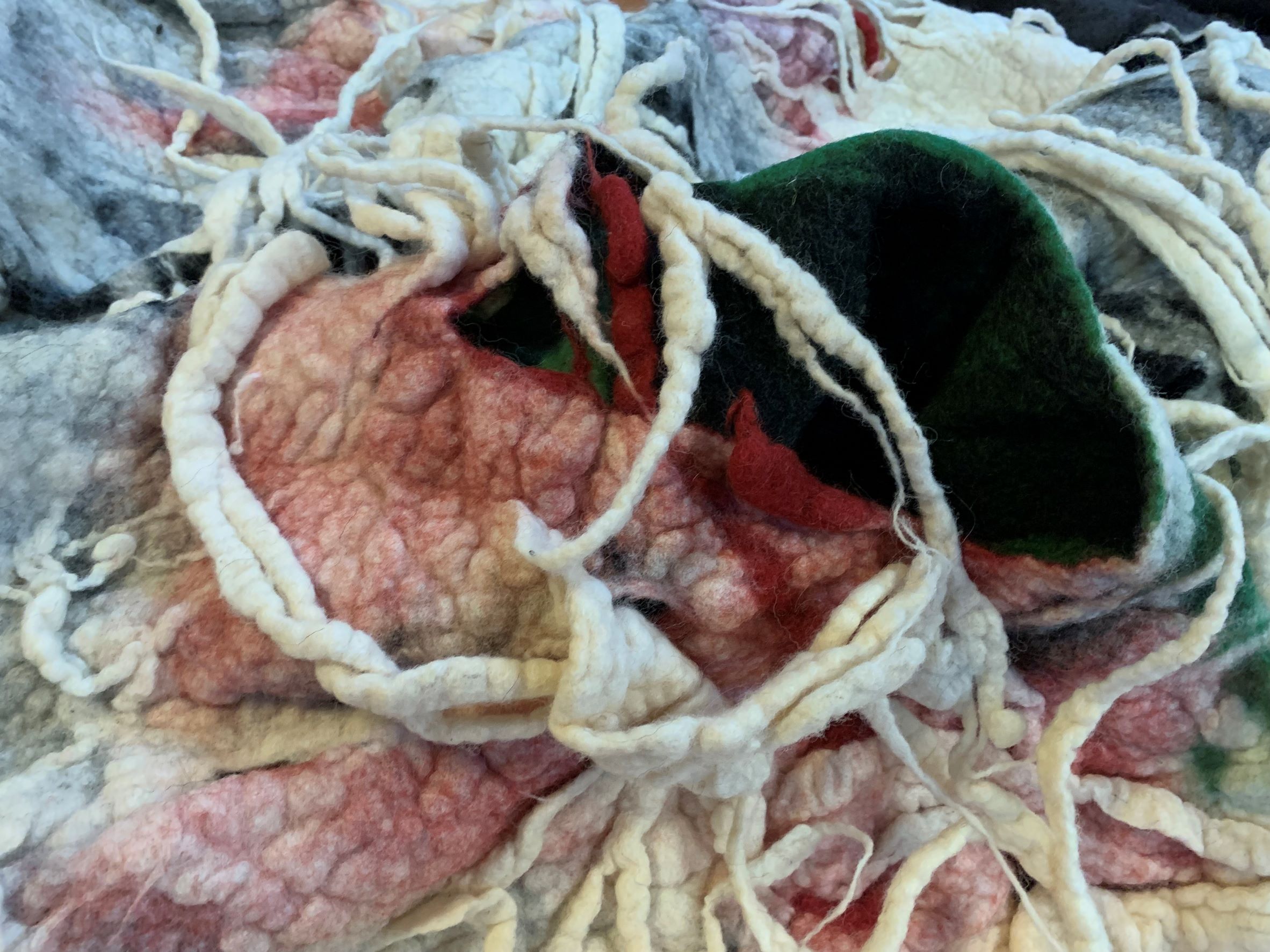 עור שני – אדווה דרורי: תערוכה חדשה בבית הספר לאמנות חברה ותרבות במכללה האקדמית ספיר